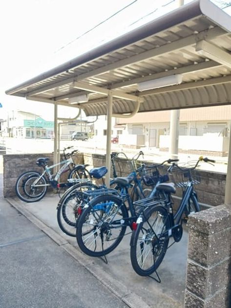 Naikan8 20250409000000 945x630