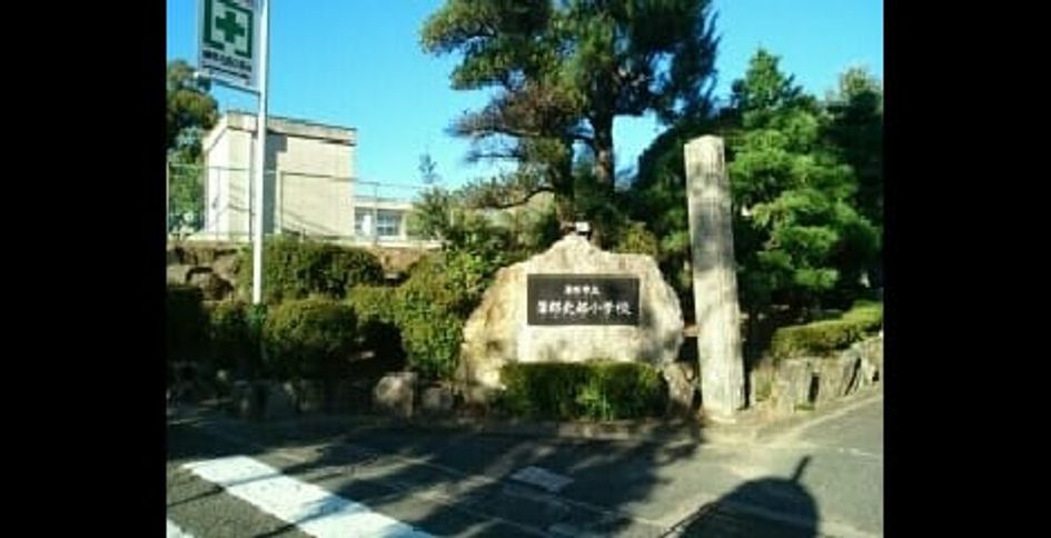 Naikan13 20200524000000 945x630