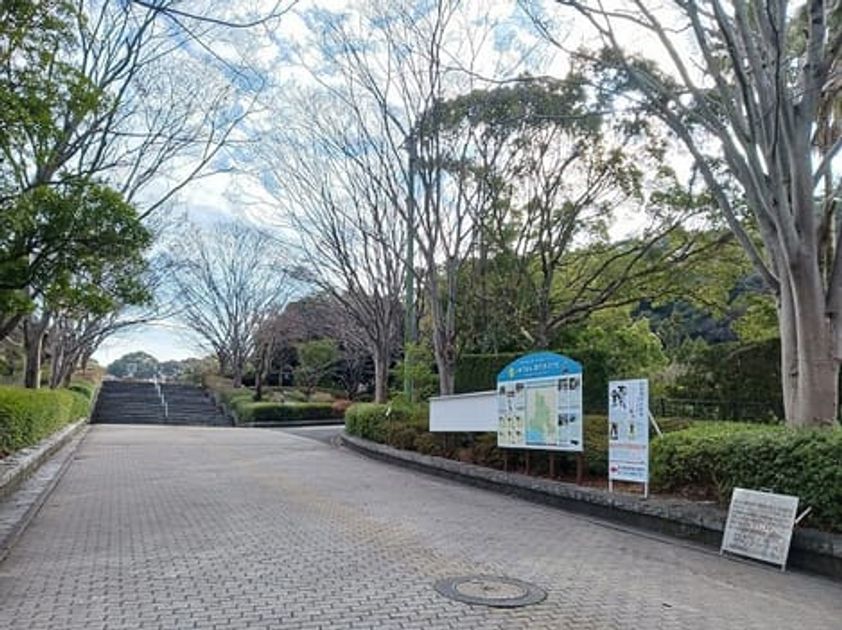 Naikan18 20260602000000 945x630