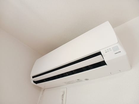 Naikan8 20260601000000