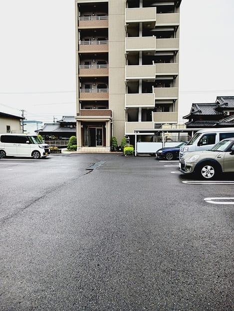 Naikan11 20260608000000