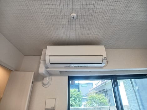Naikan10 20260702000000