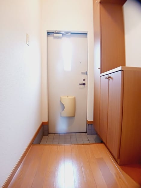 Naikan6 20260623000000