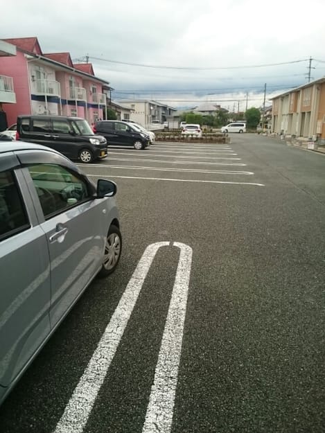 Naikan8 20200619000000