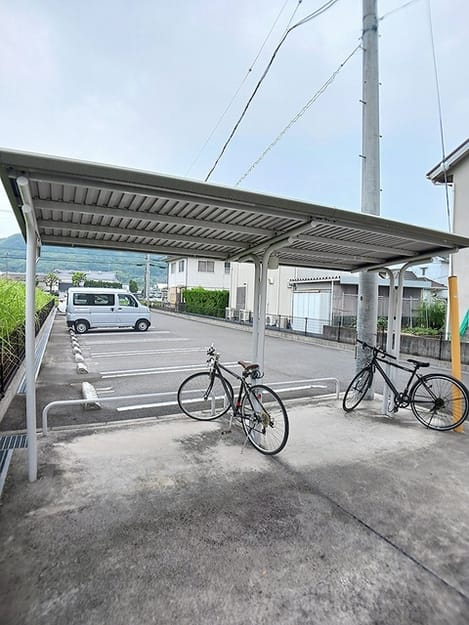Naikan11 20260703000000