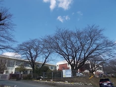 Naikan17 20221001000000