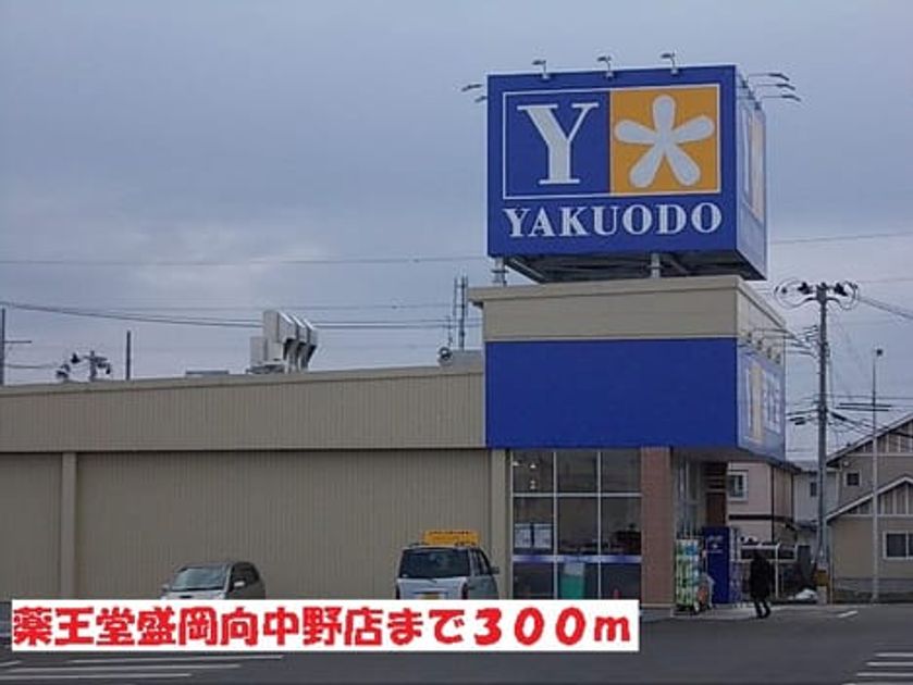Naikan17 20140202000000 945x630