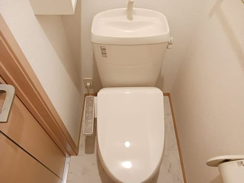 Naikan5 20260824000000 945x630