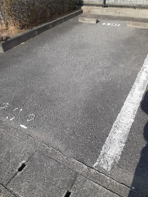 Naikan11 20230120000000 945x630