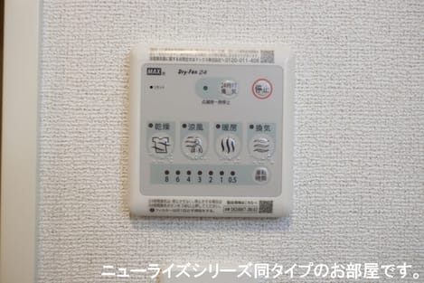 Naikan11 20260619000000