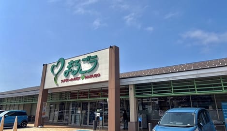 Naikan13 20260629000000