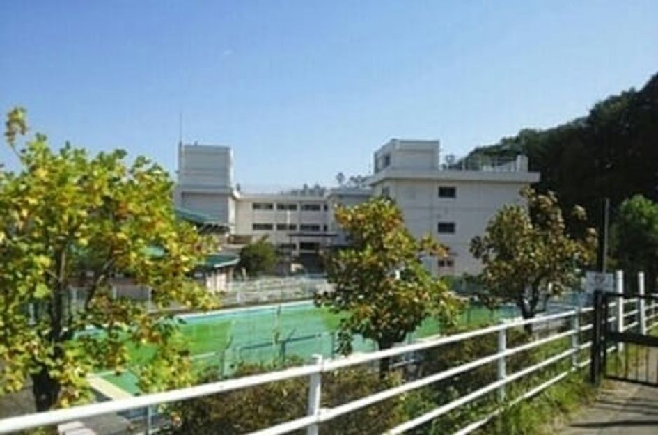 Naikan13 20231215000000 945x630