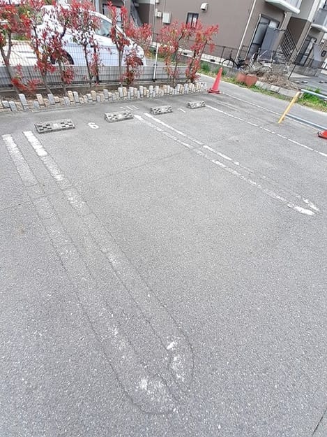 Naikan11 20240408000000
