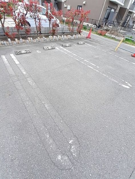 Naikan11 20240408000000 945x630