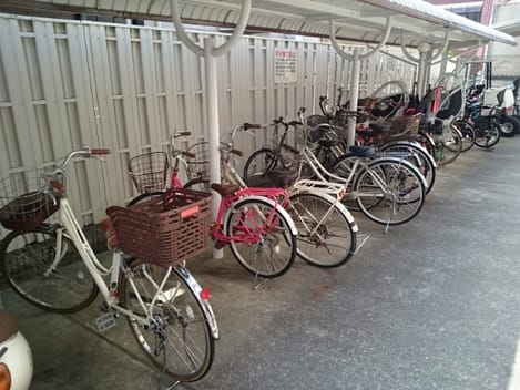 Naikan10 20200508000000