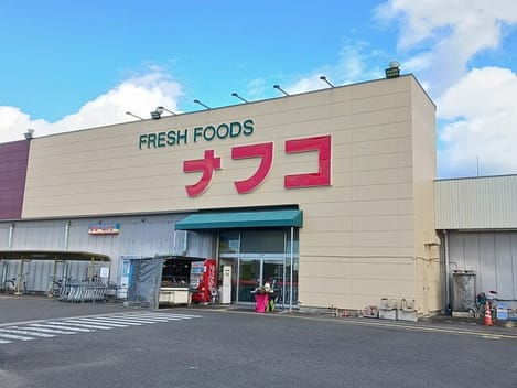 Naikan13 20260109000000
