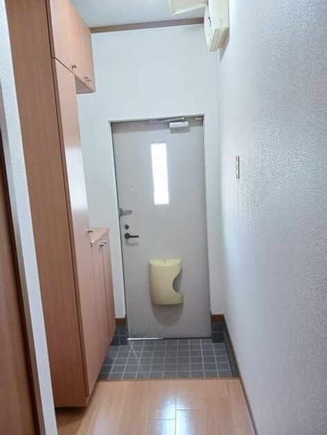 Naikan9 20261015000000 945x630