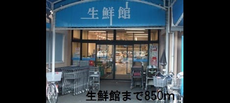 Naikan13 20190324000000