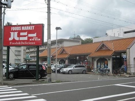 Naikan13 20230614000000