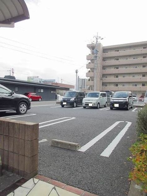 Naikan10 20250204000000 945x630