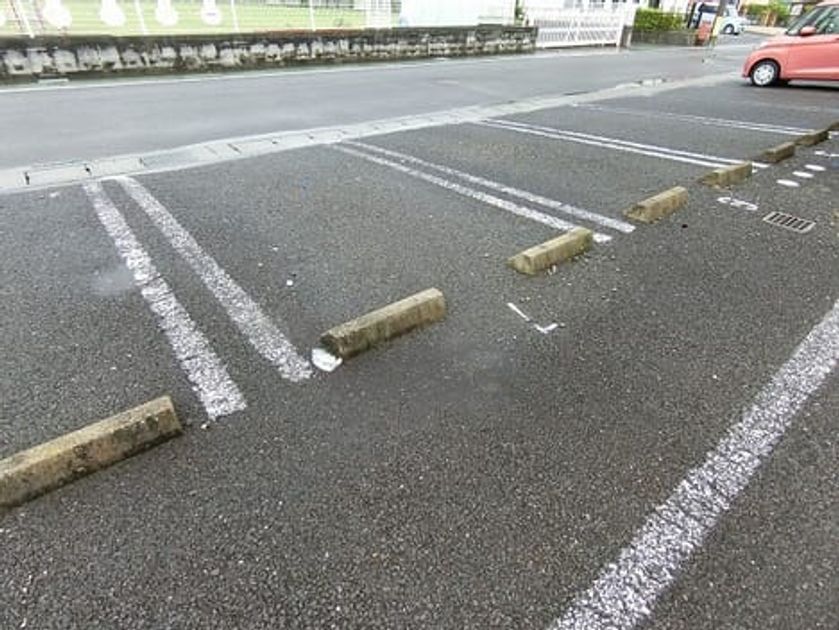 Naikan11 20200612000000 945x630