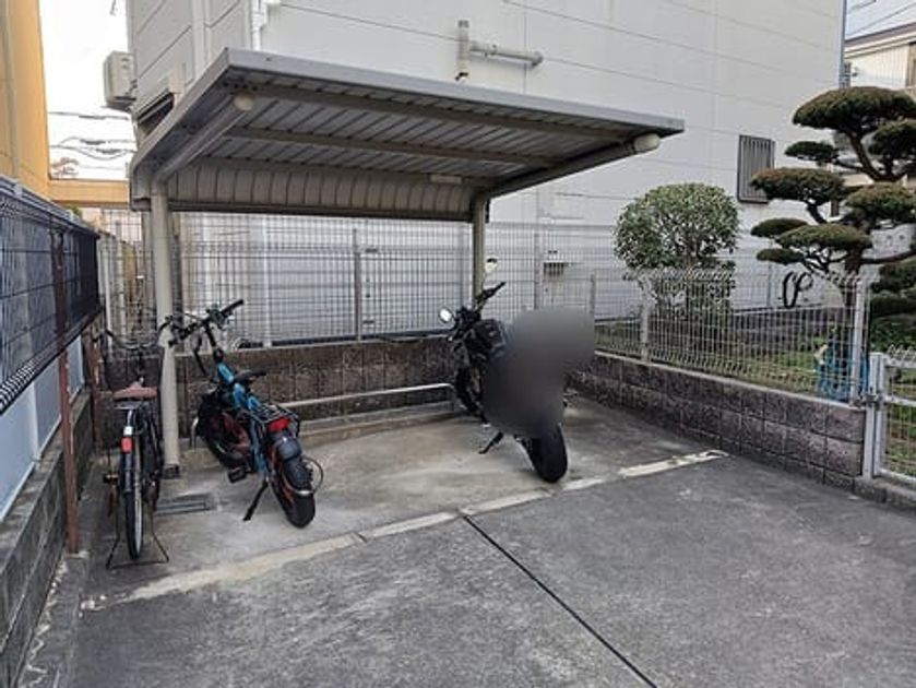 Naikan12 20261029000000 945x630