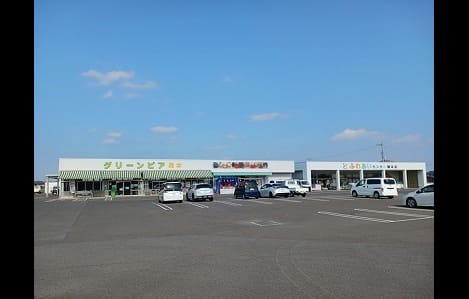 Naikan13 20241115000000