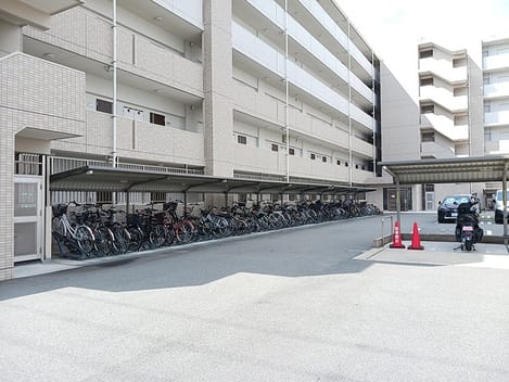 Naikan11 20260915000000