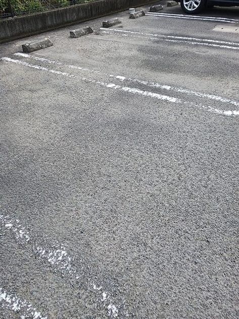 Naikan11 20261019000000 945x630
