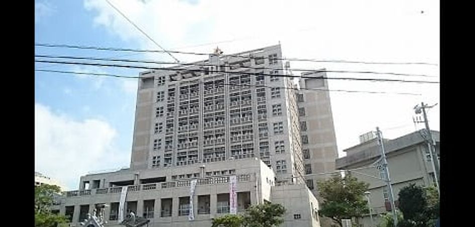 Naikan13 20250206000000 945x630