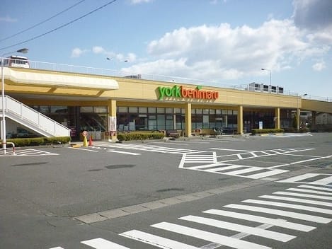 Naikan17 20201130000000