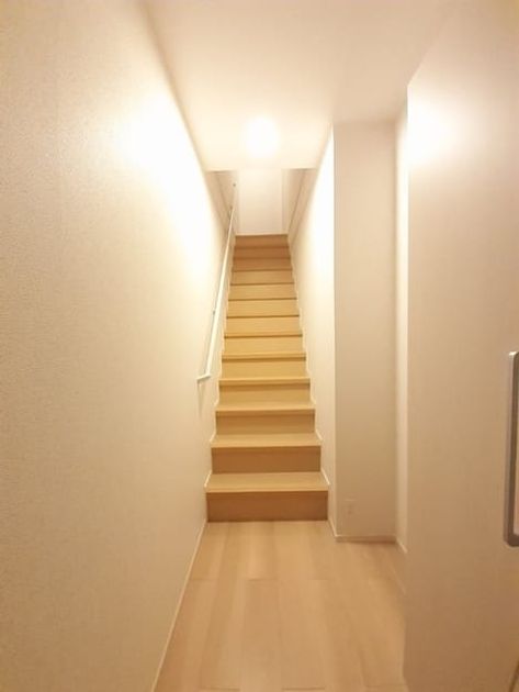 Naikan7 20240328000000 945x630