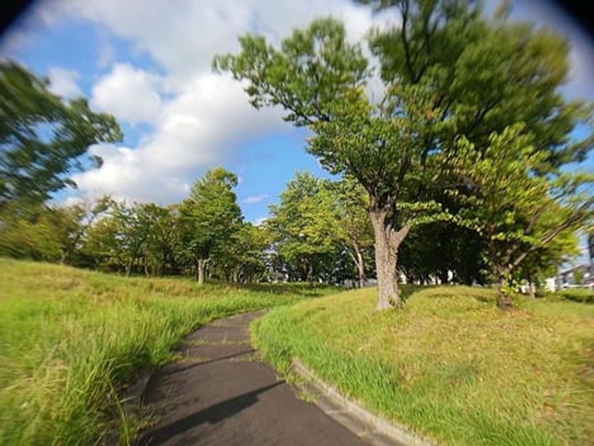 Naikan5 20260901000000 945x630