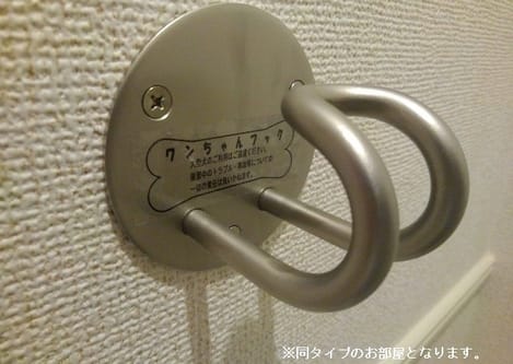 Naikan10 20260831000000