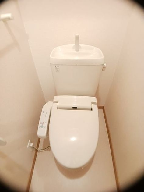 Naikan8 20261029000000 945x630