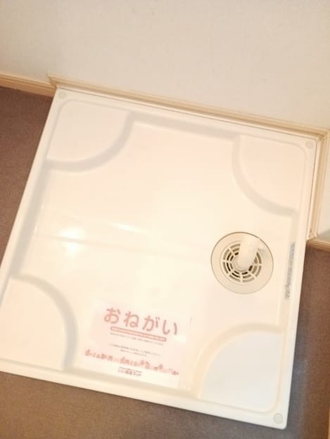 Naikan12 20250127000000
