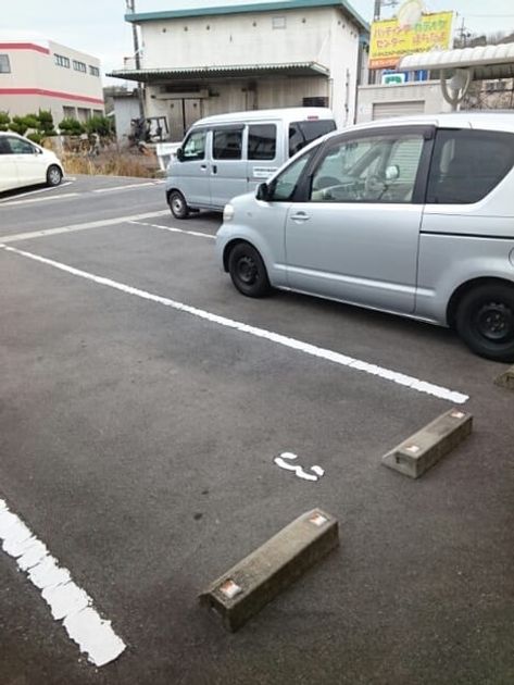 Naikan11 20200214000000 945x630