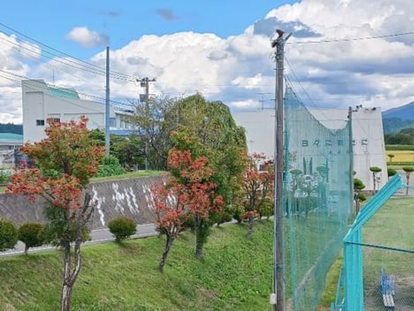 Naikan18 20261009000000 945x630