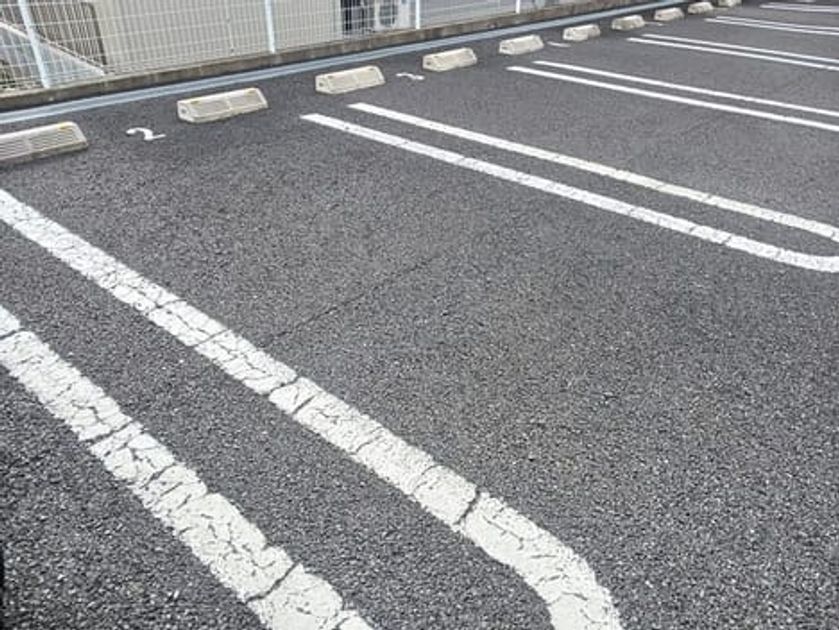 Naikan11 20250128000000 945x630