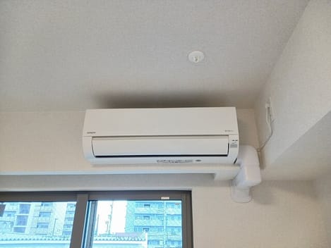Naikan10 20250307000000
