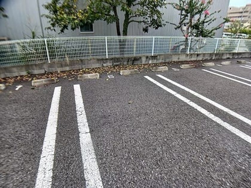 Naikan10 20260915000000 945x630
