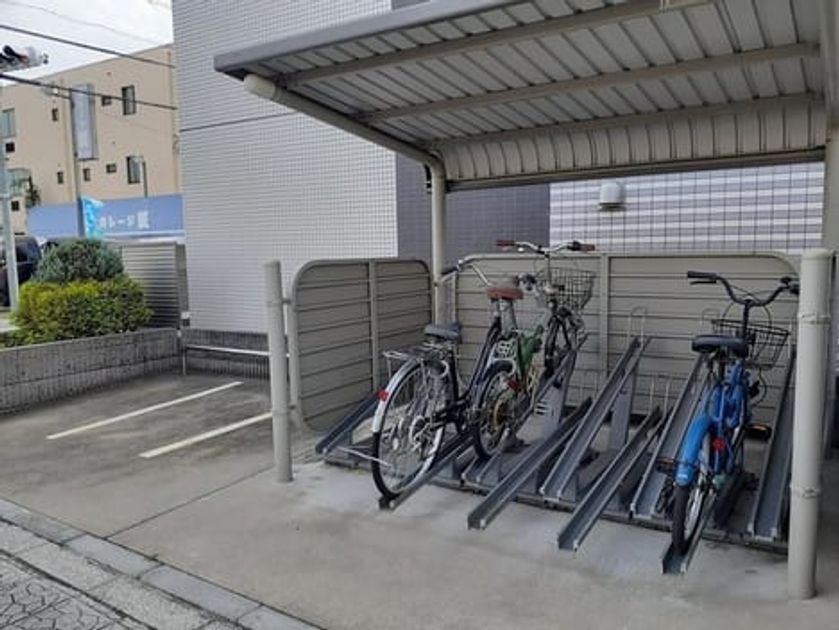 Naikan11 20260127000000 945x630