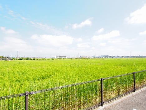 Naikan8 20140907000000