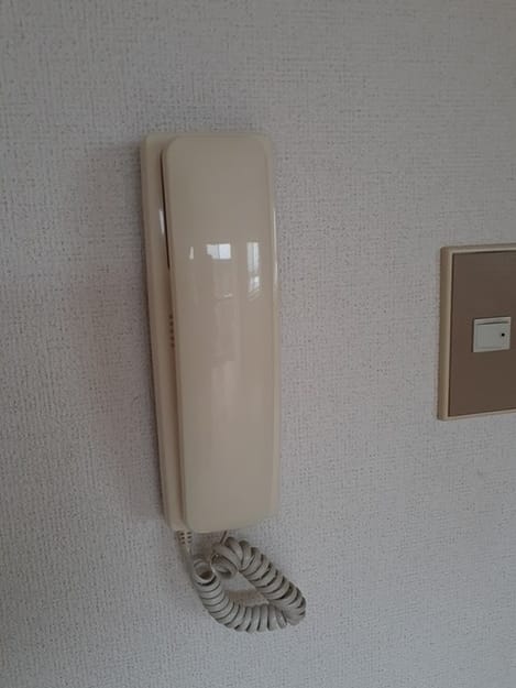 Naikan7 20230529000000