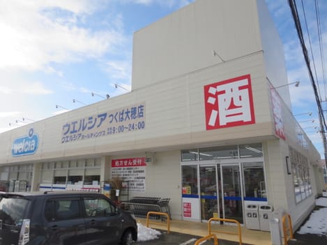 Naikan17 20210519000000