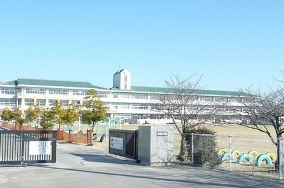 Naikan17 20200611000000 945x630