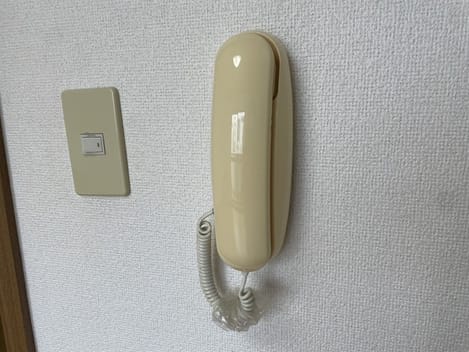 Naikan9 20250331000000