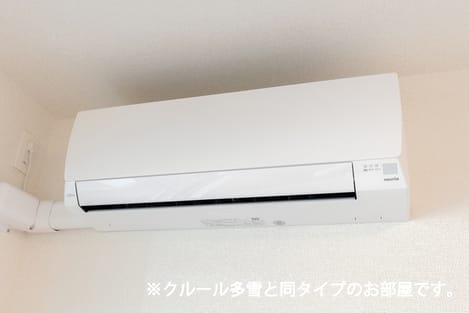 Naikan11 20260915000000