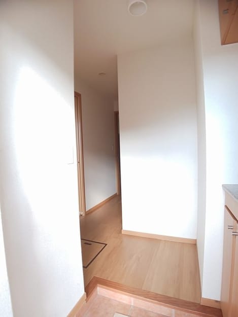 Naikan7 20241106000000