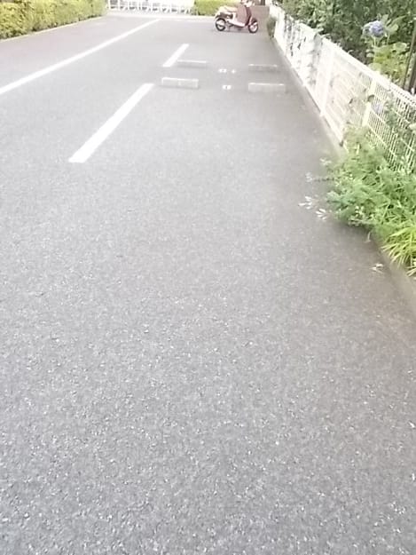 Naikan11 20170707000000